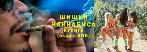 кокс Белокуриха
