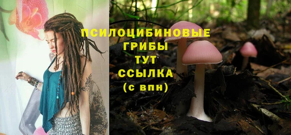 спиды Белоозёрский
