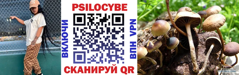 сколько стоит  Тарко-Сале  Галлюциногенные грибы MAGIC MUSHROOMS 